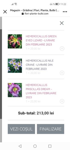 Screenshot_20230110_112223_com.facebook.katana - Achiziții 2023