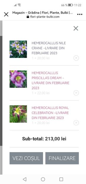 Screenshot_20230110_112232_com.facebook.katana - Achiziții 2023