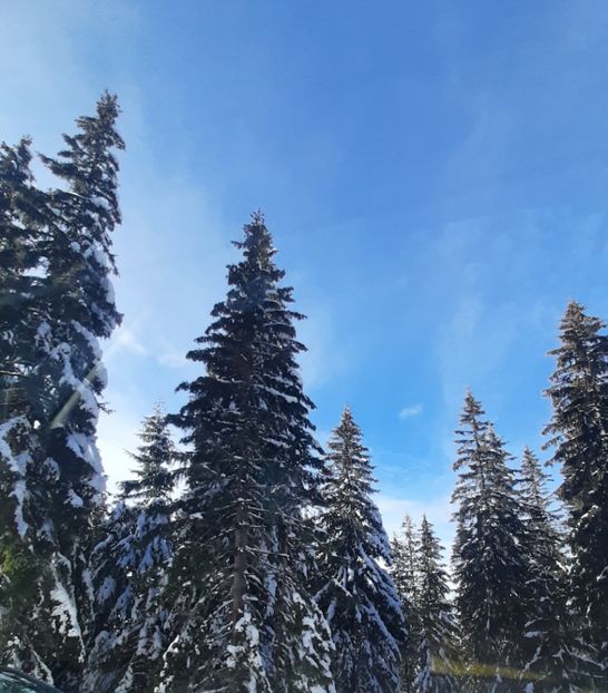  - Rânca ianuarie 2023