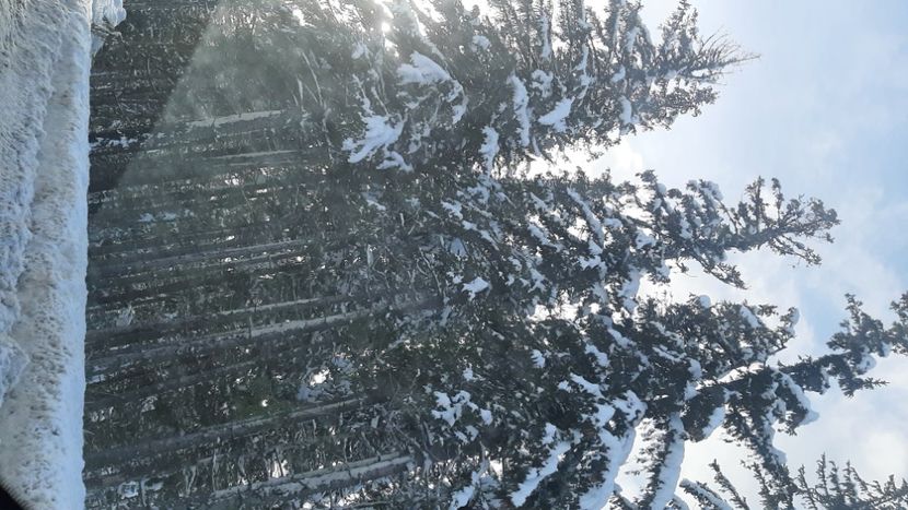  - Rânca ianuarie 2023