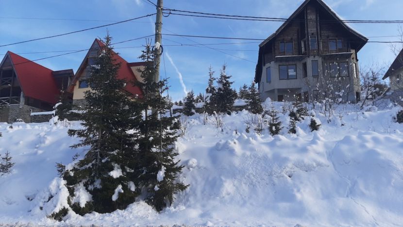  - Rânca ianuarie 2023
