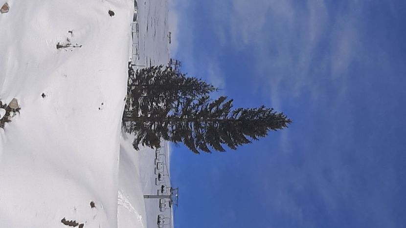  - Rânca ianuarie 2023