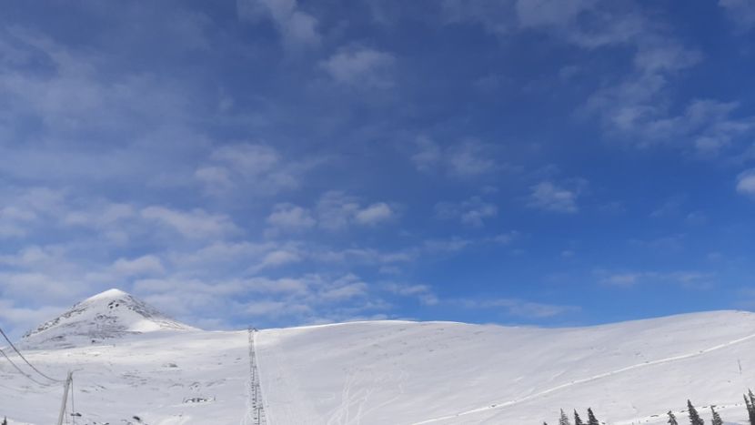  - Rânca ianuarie 2023