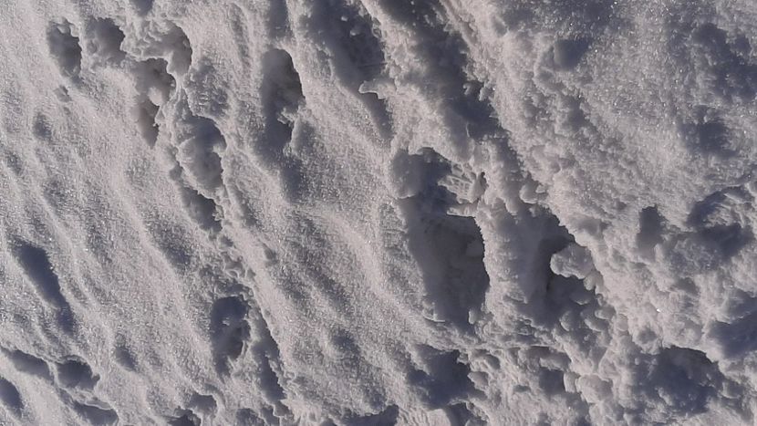  - Rânca ianuarie 2023