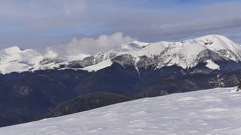  - Rânca ianuarie 2023