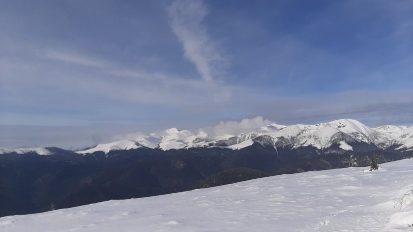  - Rânca ianuarie 2023
