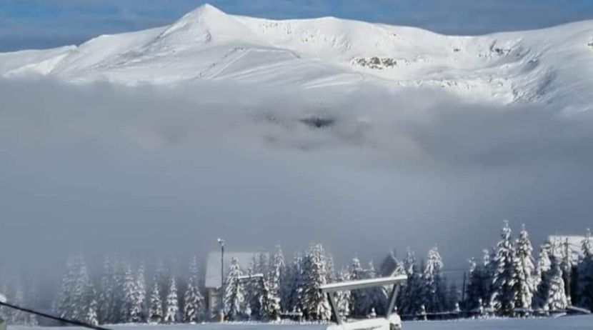 - Rânca ianuarie 2023