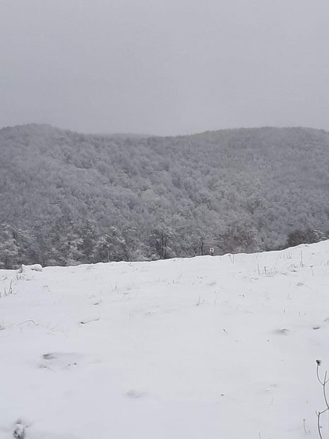  - Rânca ianuarie 2023