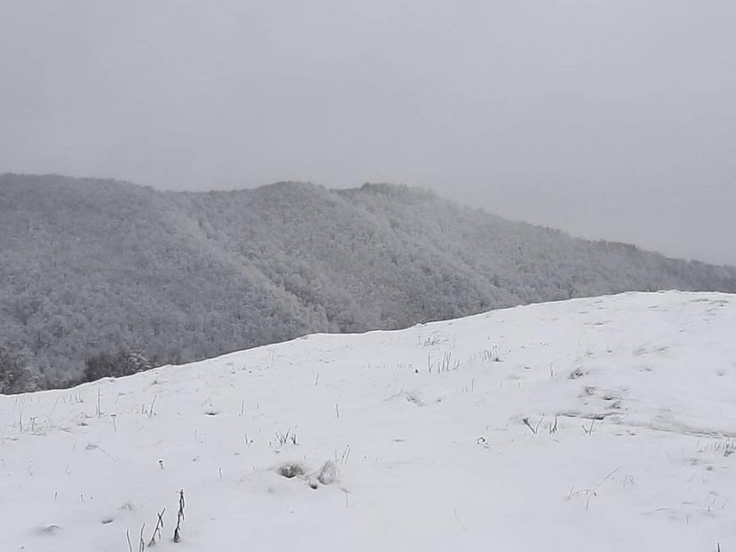  - Rânca ianuarie 2023