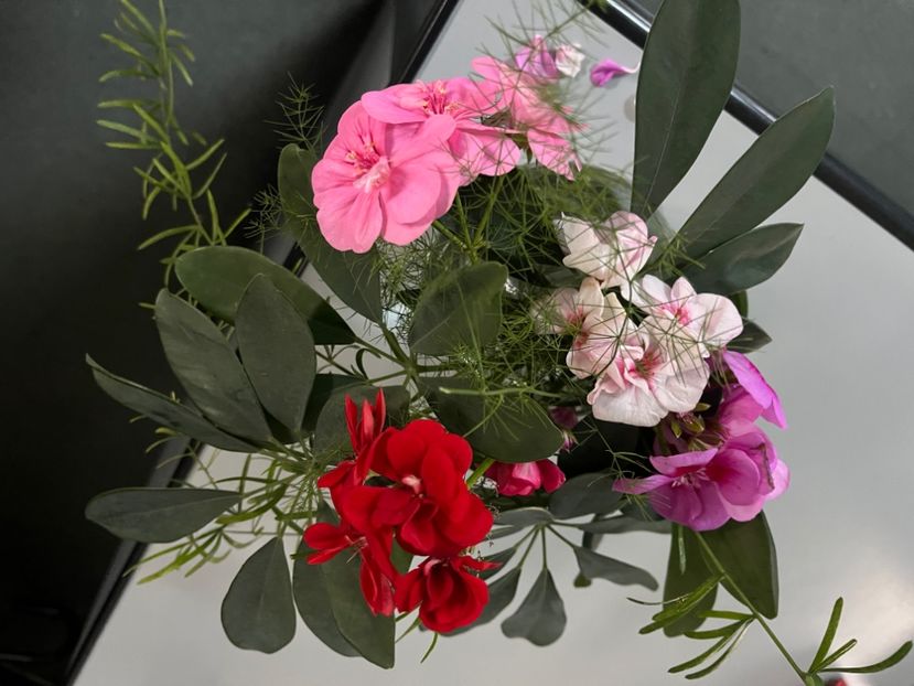 0E33F232-7EFE-43B9-8671-19FDB8C75A5B - Aranjamente licheni și flori