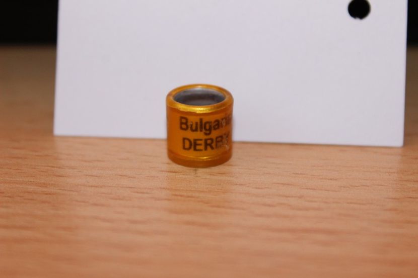 BG  DERBY 2016 - BULGARIA