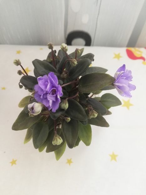 30 dec - LE Buketik Origamy