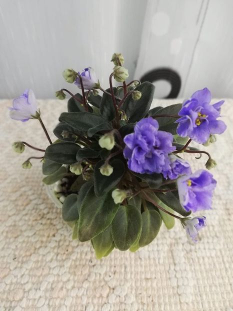 5 ian - LE Buketik Origamy