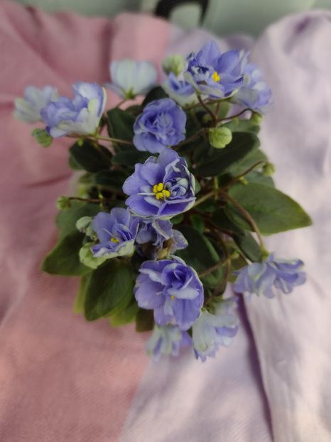 14 ian - LE Buketik Origamy