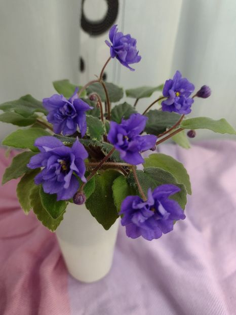 14 ian - LE Rio Grande