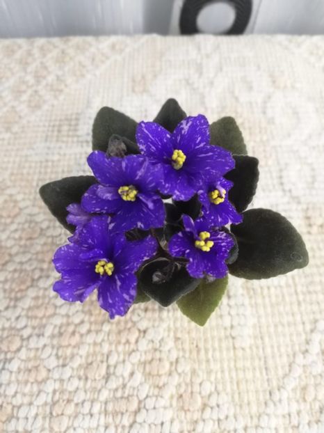 5 ian - N Mlechniy Put