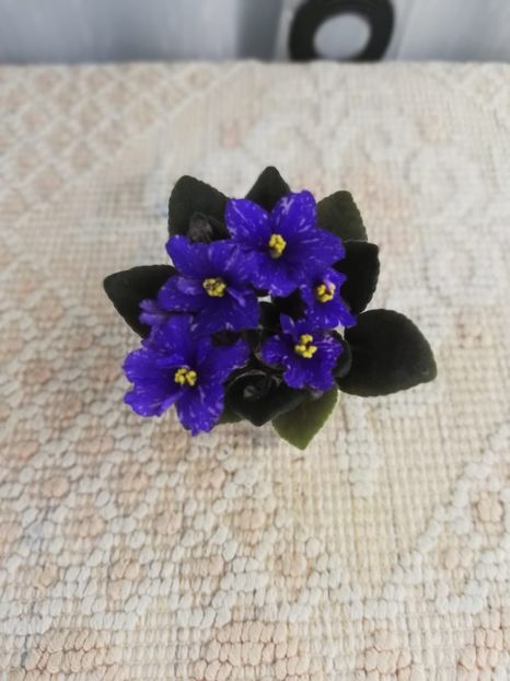 5 ian - N Mlechniy Put