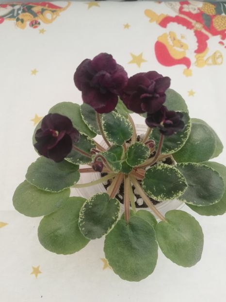 30 dec - Dark Night of the Soul