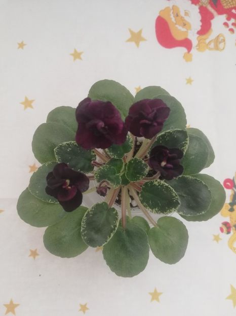  - Dark Night of the Soul