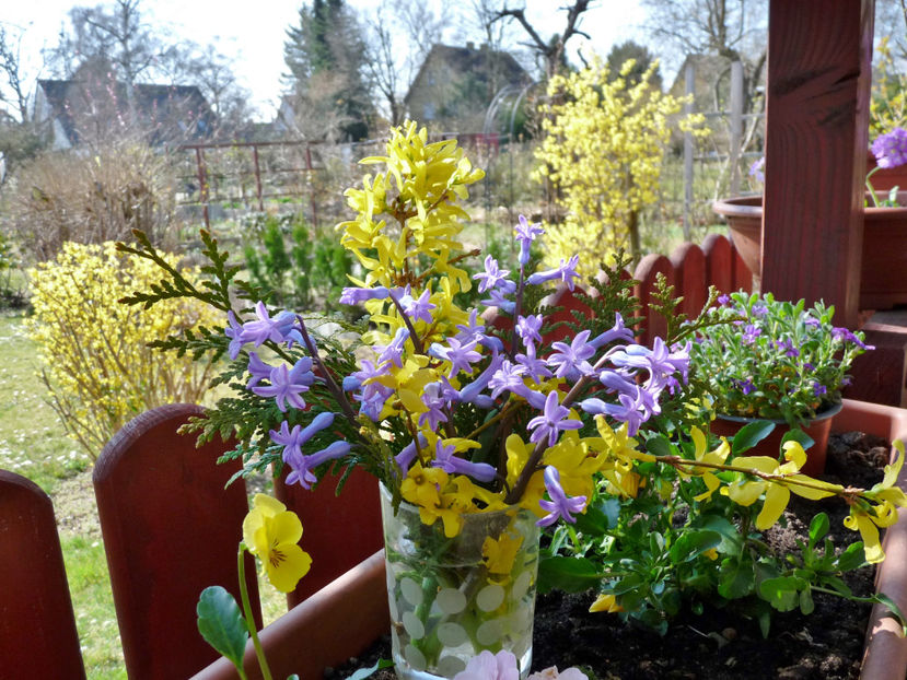 © - 2022 - 01 - Floristica