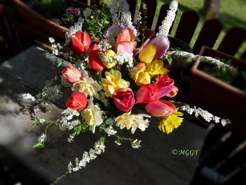 © - 01 - Floristica