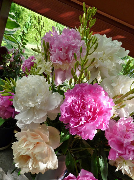 © - 01 - Floristica