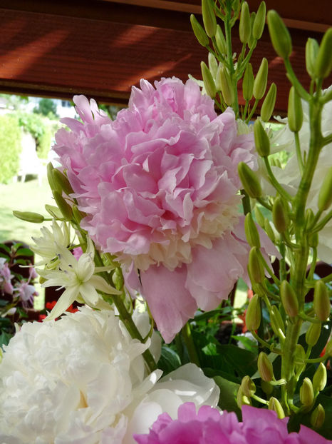 © - 01 - Floristica