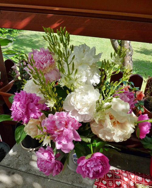 © - 01 - Floristica