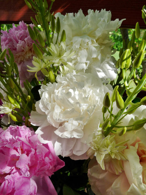 © - 01 - Floristica