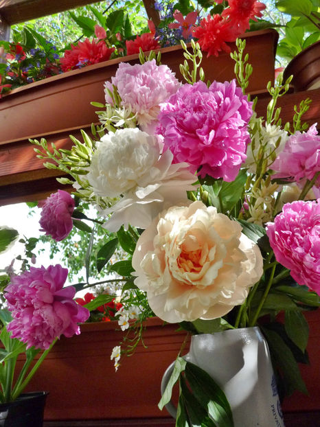 © - 01 - Floristica