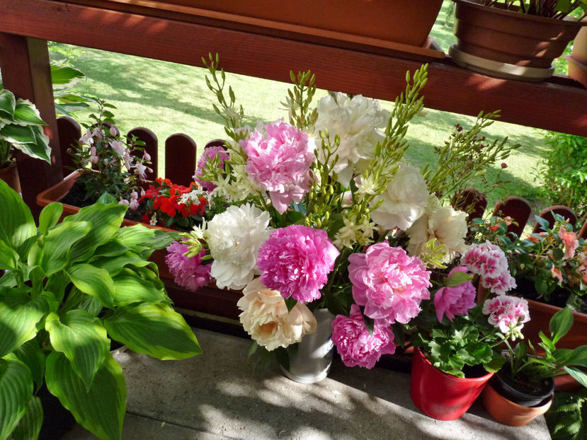 © - 01 - Floristica