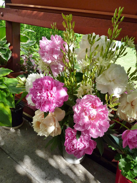 © - 01 - Floristica