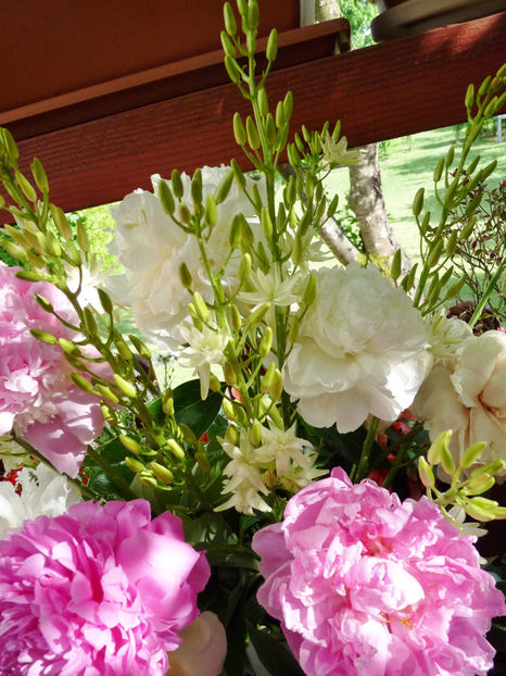 © - 01 - Floristica