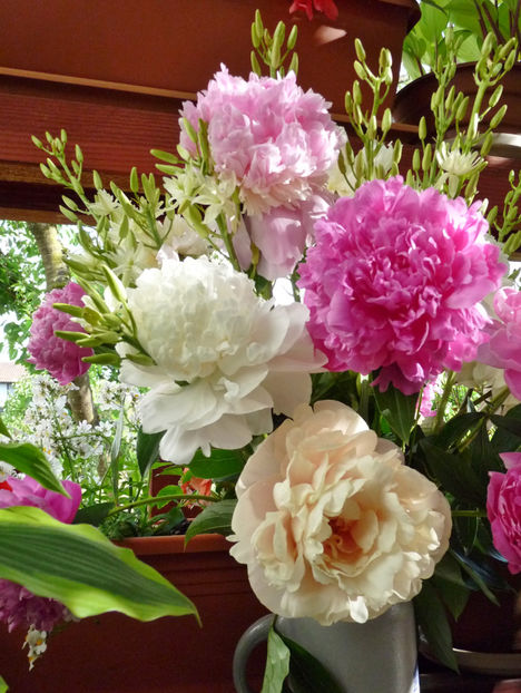 © - 01 - Floristica