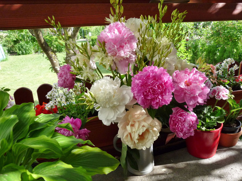 © - 01 - Floristica