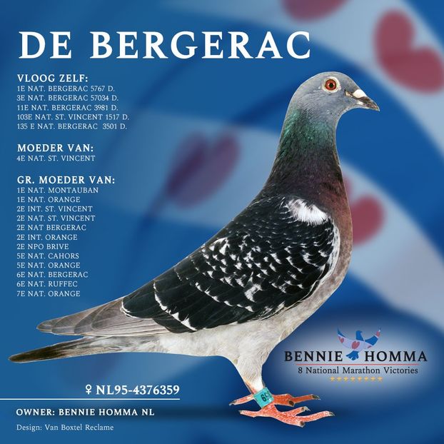 Ascendent HOMBRE - HOMBRE - original Bennie Homma Balk NL extrem marathon