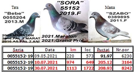 sora bun - 2 MATCA 2023