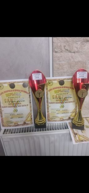 Screenshot_20230114_212707_WhatsApp - Expo Sighisoara 2023 -Gat Golas de Transilvania