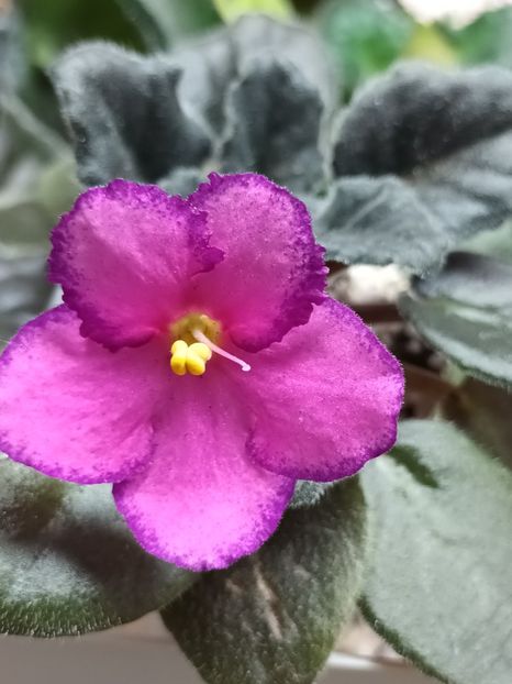 Nu știu numele - PORTRETE