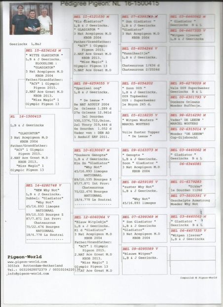 415geerinckx - Vandenheede de Rauw Sablon