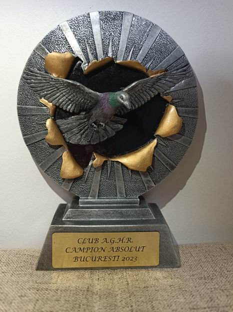 Expozitia   Club 2023 -Bucuresti - INVINGATOR DIN SIMPLU VISATOR