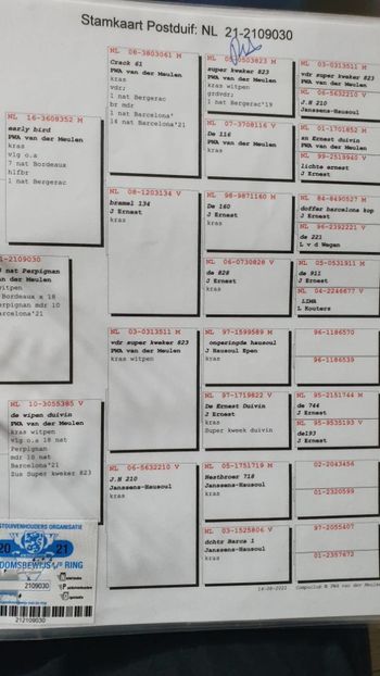 Pwa vd Meulen+ - Vochin George Meula