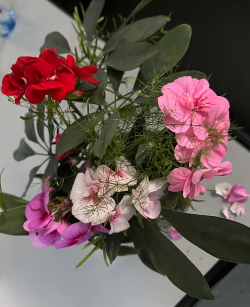 57EBCF00-FC9F-4AF0-A492-2A963361F11D - Aranjamente licheni și flori