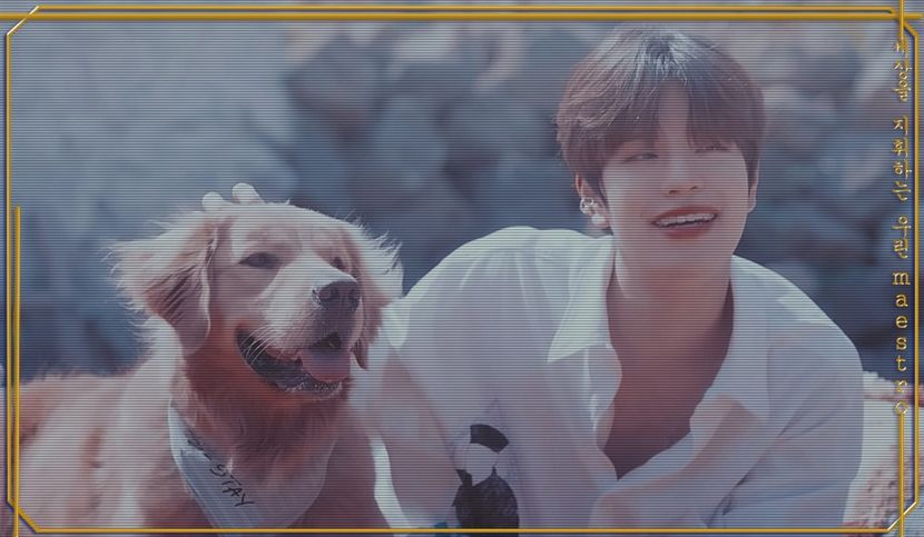 ⬑ɪ ʟɪᴋᴇ ᴛʜᴇ ᴠɪᴇᴡ ʀɪɢʜᴛ ɴᴏᴡ‧͙⁺˚»⁹⁶³⌢₁₉.₀₁.₂₃ - stray kids_____world domination