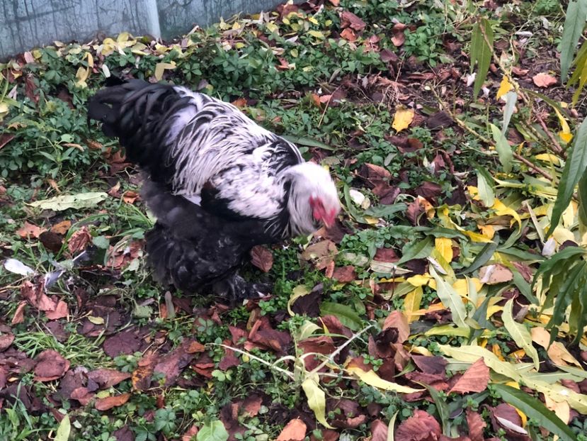 6F5C864F-B54F-430F-83B2-249C5E7BEA99 - 2022