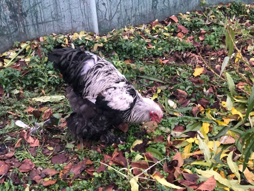 9C31CB7B-EAEF-4FCD-99A8-1705701AD100 - 2022