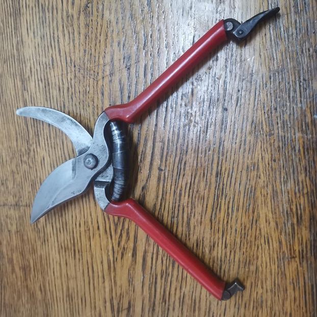 325193371_5767170516705677_8431245986262088565_n (1) - Foarfeca Solingen 111