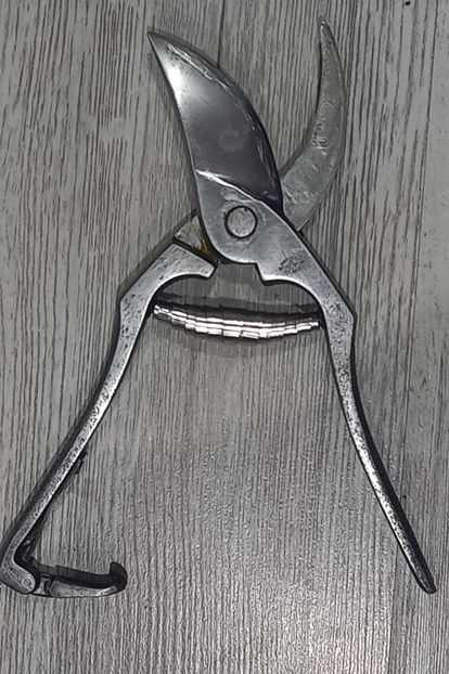  - Foarfecă Solingen Delta Werk