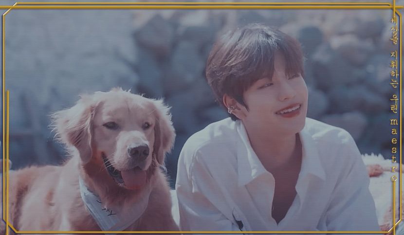 ⬑ɪ ʟɪᴋᴇ ᴛʜᴇ ᴠɪᴇᴡ ʀɪɢʜᴛ ɴᴏᴡ‧͙⁺˚»⁹⁶⁵⌢₂₁.₀₁.₂₃ - stray kids_____world domination