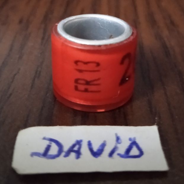 2013-Franta - Franta